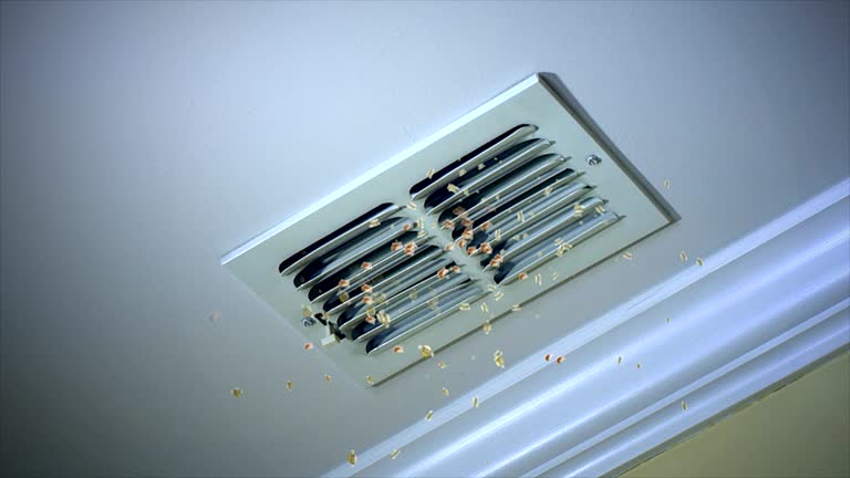 Best HVAC System Cleaning  in Clendenin, WV